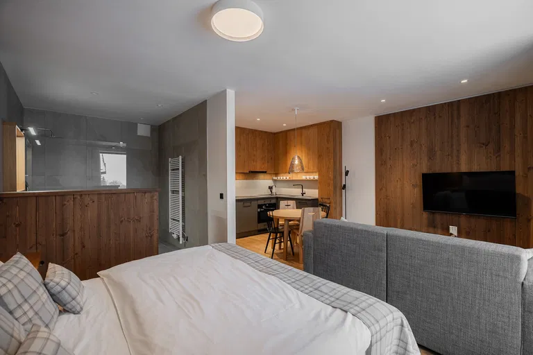 Vítkovice - Semily | Sale, Apartment, Studio (1+kk), 41 m²