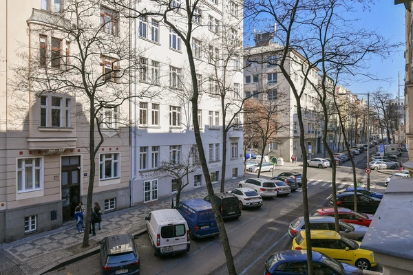 Mánesova, Vinohrady - Prague 2 | Rent, Apartment, Two-bedroom (3+1), 109 m²