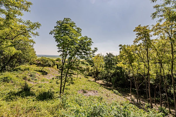 Dřínov - Mělník | Sale, Land, 1 687 m²