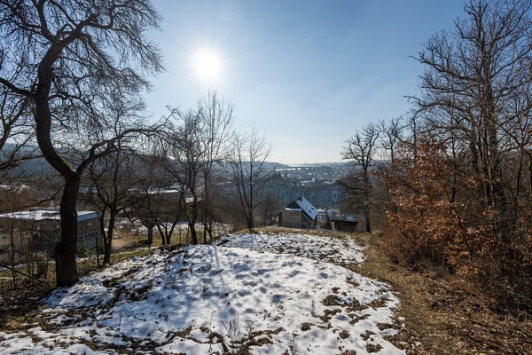 Havlíčkova, Bílovice nad Svitavou - Brno-venkov | Prodej, Pozemek, 2 679 m²