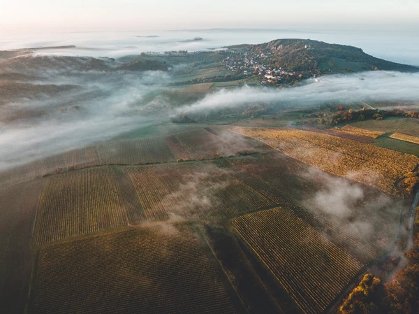 Na Cimbuří, Pavlov - Břeclav | Prodej, Rodinný dům, 4+1, 242 m²