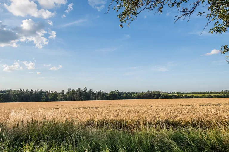  - Lučenec | Sale, Land, 1 410 313 m²