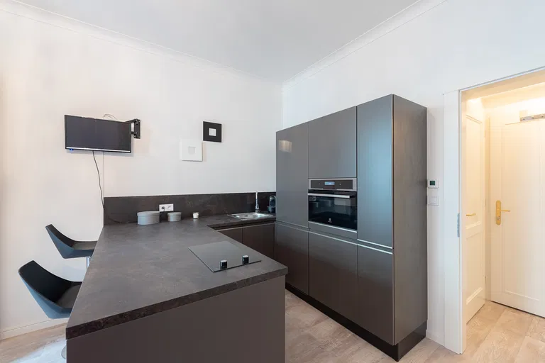 Slavíkova, Žižkov - Praha 3 | Pronájem, Byt, 1+kk, 26 m²