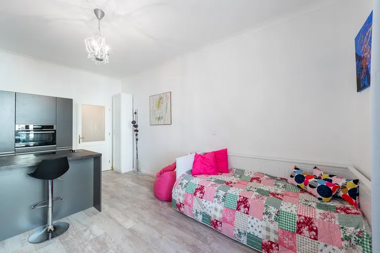 Slavíkova, Žižkov - Praha 3 | Pronájem, Byt, 1+kk, 26 m²