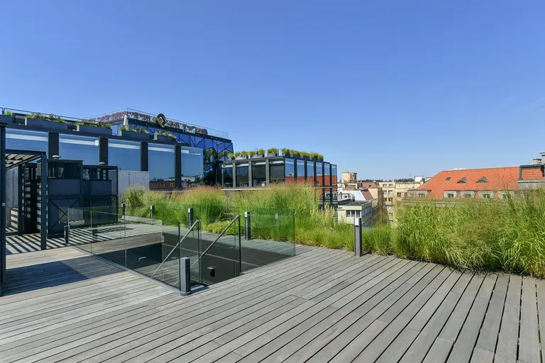 Purkyňova, Nové Město - Praha 1 | Pronájem, Byt, 5+1, 564 m²