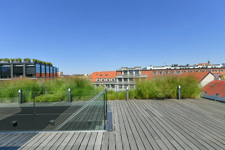 Purkyňova, Nové Město - Praha 1 | Pronájem, Byt, 5+1, 564 m²
