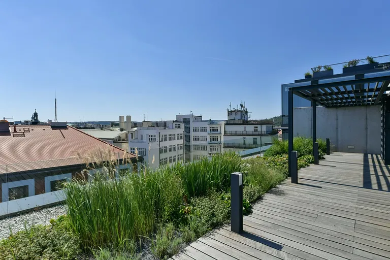 Purkyňova, Nové Město - Praha 1 | Pronájem, Byt, 5+1, 564 m²