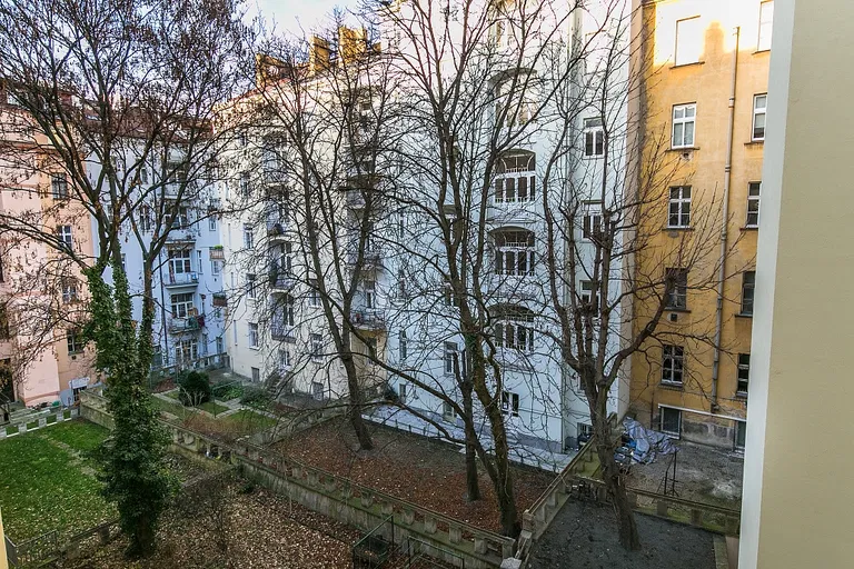 Mánesova, Vinohrady - Praha 2 | Pronájem, Byt, 1+1, 46 m²