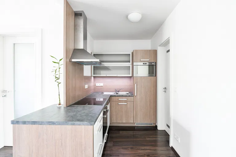 Baarova, Michle - Prague 4 | Rent, Apartment, One-bedroom (2+kk), 66 m²