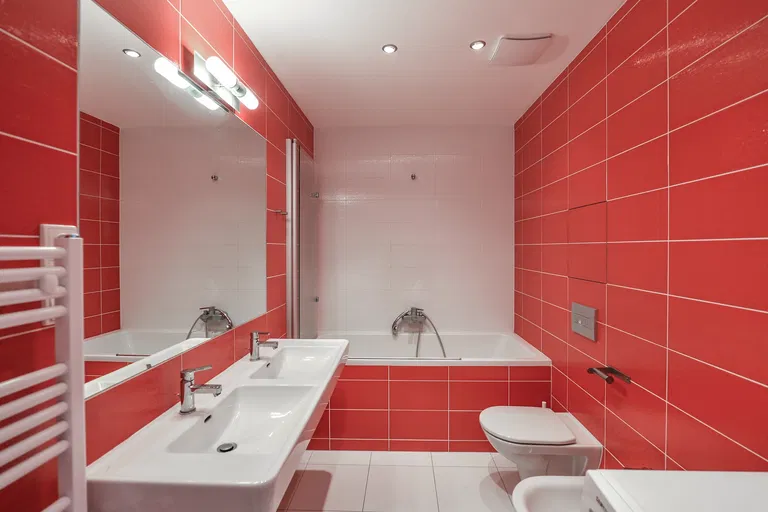 Baarova, Michle - Prague 4 | Rent, Apartment, One-bedroom (2+kk), 66 m²