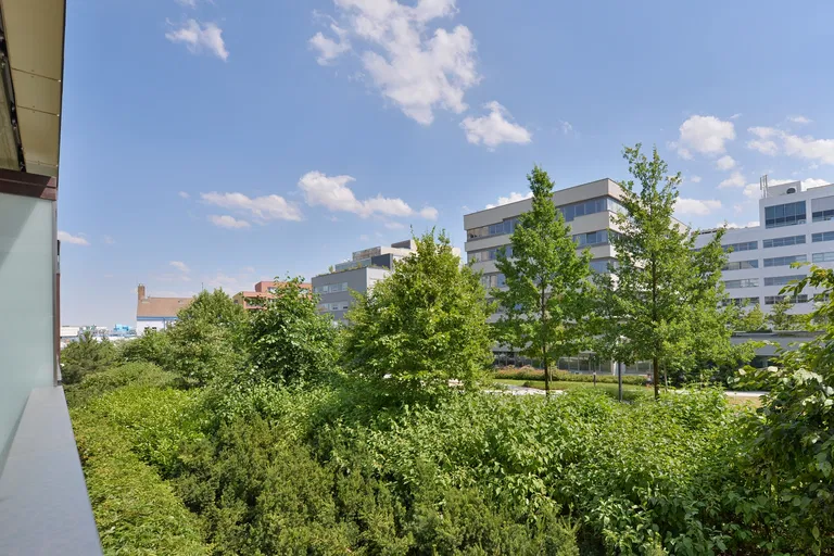 Baarova, Michle - Prague 4 | Rent, Apartment, One-bedroom (2+kk), 66 m²