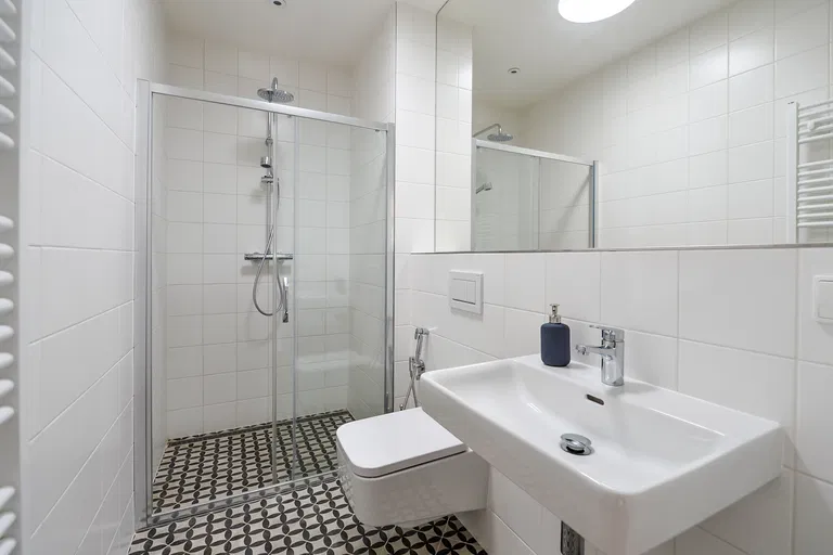 Dalimilova, Žižkov - Prague 3 | Rent, Apartment, One-bedroom (2+kk), 52 m²
