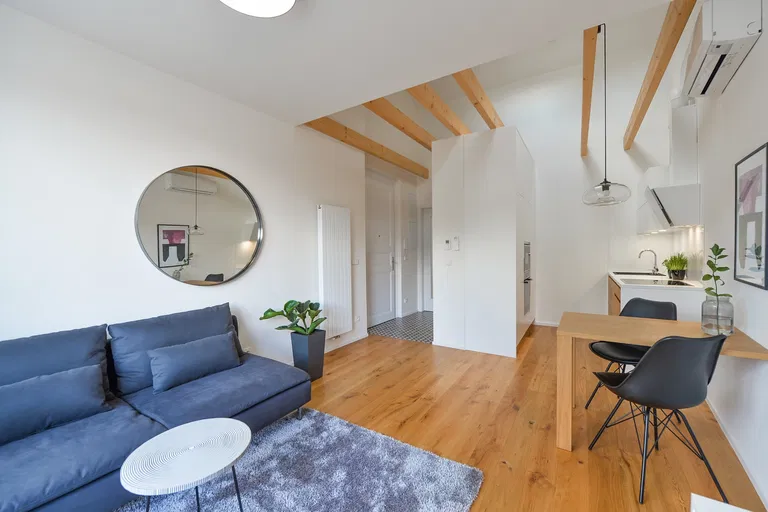 Dalimilova, Žižkov - Prague 3 | Rent, Apartment, One-bedroom (2+kk), 52 m²