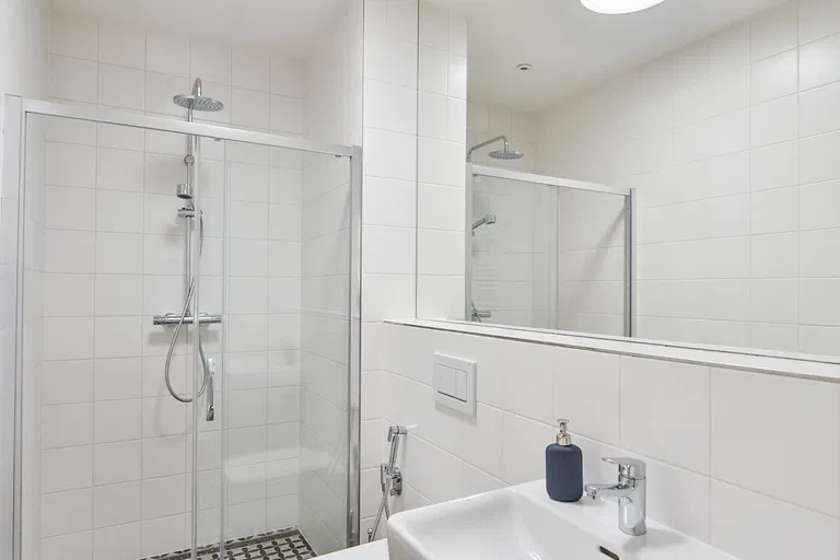 Dalimilova, Žižkov - Prague 3 | Rent, Apartment, One-bedroom (2+kk), 52 m²