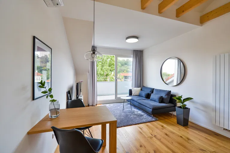 Dalimilova, Žižkov - Prague 3 | Rent, Apartment, One-bedroom (2+kk), 52 m²