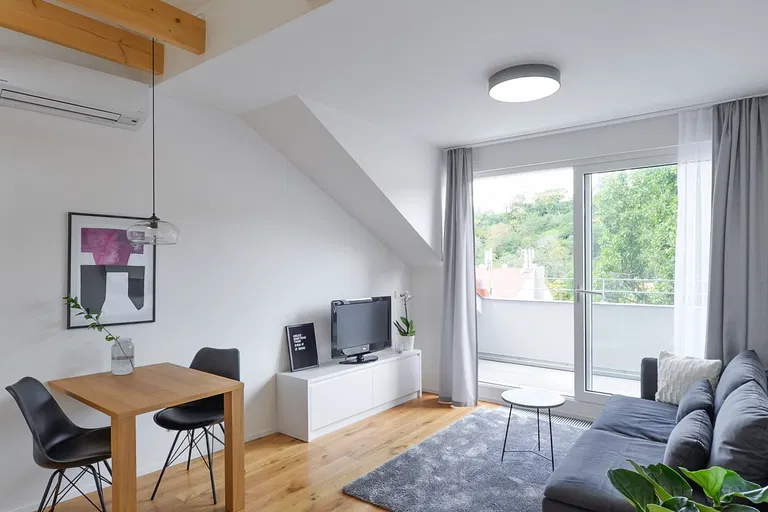 Dalimilova, Žižkov - Prague 3 | Rent, Apartment, One-bedroom (2+kk), 52 m²