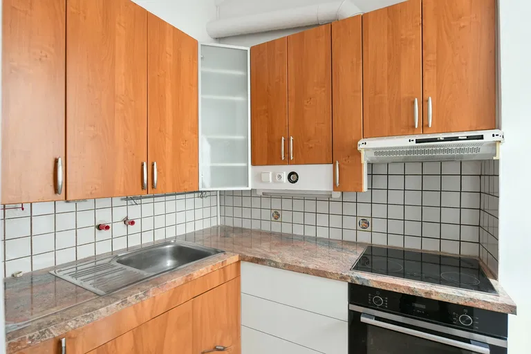 Ladova, Nové Město - Prague 2 | Rent, Apartment, Three-bedroom (4+kk), 113 m²