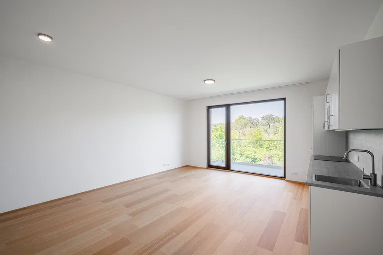 V Třešňovce, Hrdlořezy - Praha 9 | Pronájem, Byt, 1+kk, 45 m²