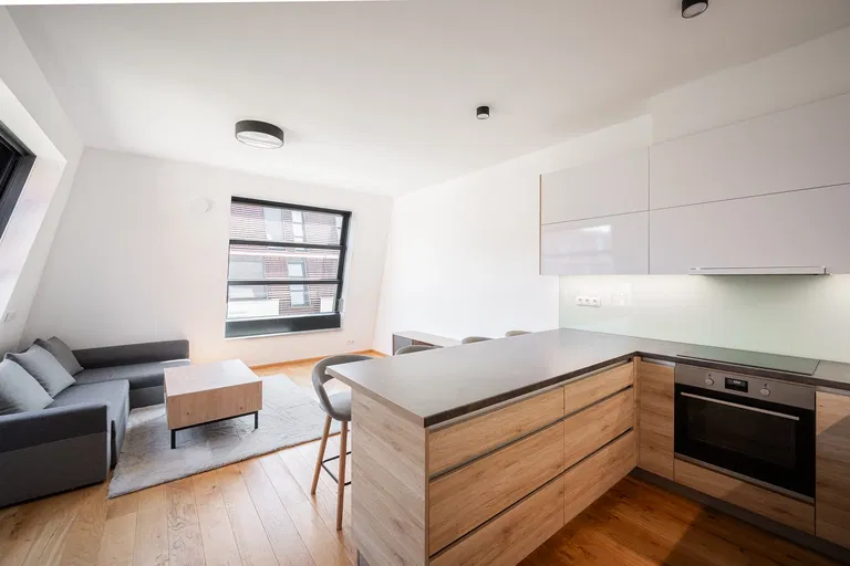 Pod Havránkou, Troja - Prague 7 | Rent, Apartment, One-bedroom (2+kk), 57 m²