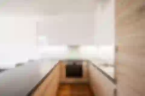 Pod Havránkou, Troja - Prague 7 | Rent, Apartment, One-bedroom (2+kk), 57 m²