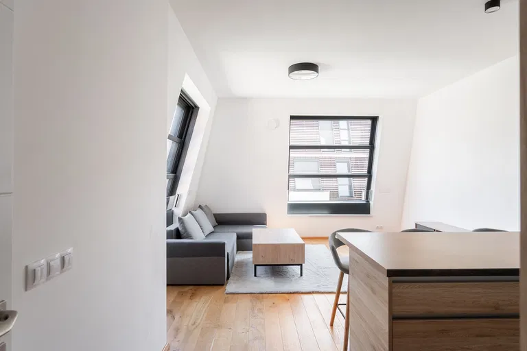 Pod Havránkou, Troja - Prague 7 | Rent, Apartment, One-bedroom (2+kk), 57 m²
