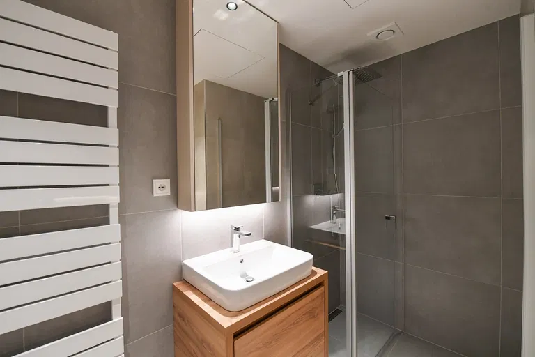 Podbělohorská, Smíchov - Prague 5 | Rent, Apartment, Studio (1+kk), 49 m²