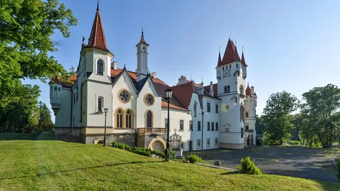 Sale of Chateau Žinkovy Is New Chance for Monument to Blossom