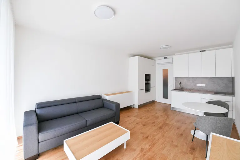 Tetauerova, Žižkov - Prague 3 | Rent, Apartment, Studio (1+kk), 38 m²
