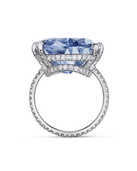 Najväčší modrý diamant, aký bol kedy vydražený, prvýkrát v aukcii