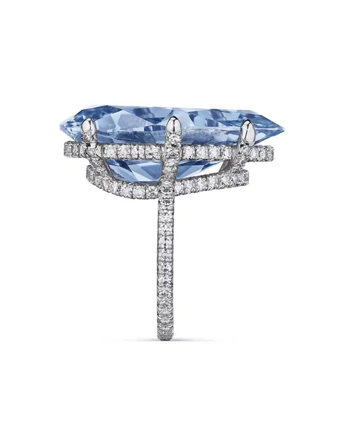 Najväčší modrý diamant, aký bol kedy vydražený, prvýkrát v aukcii