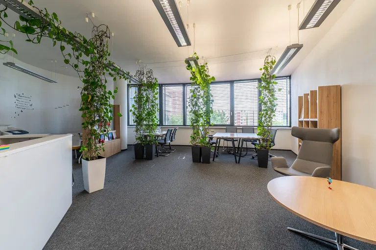 Röntgenova, Petržalka - Bratislava V | Prenájom, Administratívna budova, 2 104 m²