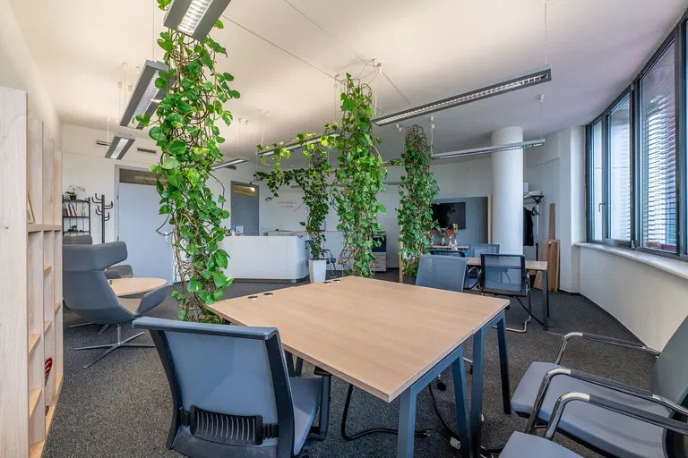 Röntgenova, Petržalka - Bratislava V | Prenájom, Kancelárie, 47 m²