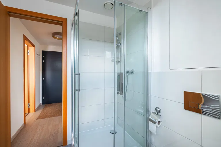 Žižkova, Staré Mesto - Bratislava I | Rent, Apartment, One-bedroom (2+1), 62 m²