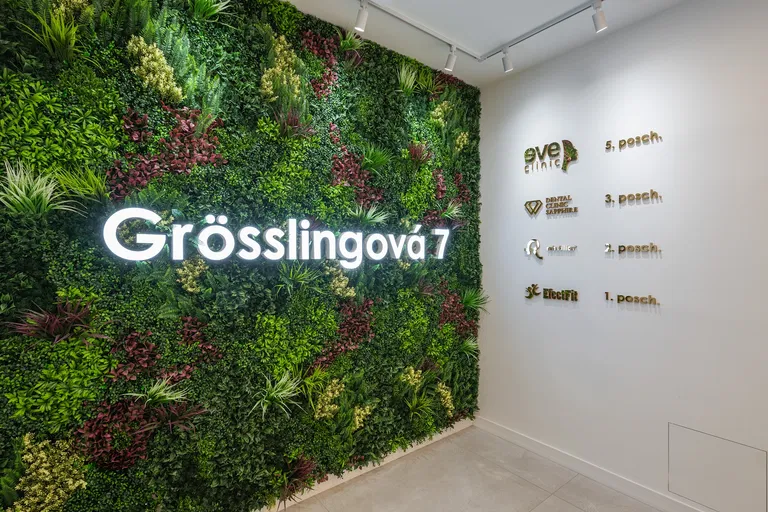 Grösslingová, Staré Mesto - Bratislava I | Prenájom, Kancelárie