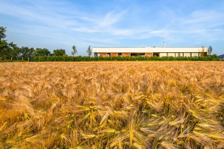 Hájska, Dunajská Streda - Dunajská Streda | Predaj, Rodinný dom, 6-izbový, 831 m²