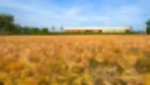 Hájska, Dunajská Streda - Dunajská Streda | Predaj, Rodinný dom, 6-izbový, 831 m²
