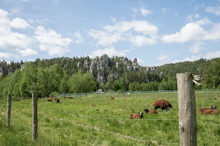 Adršpach - Náchod | Predaj, Pozemok, 4 301 m²
