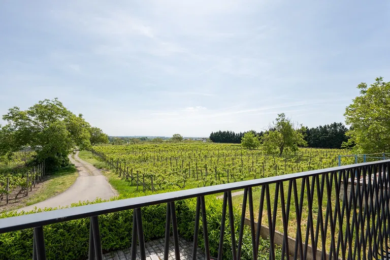 Ke Špičáku, Velké Bílovice - Břeclav | Predaj, Rodinný dom, 4-izbový, 561 m²
