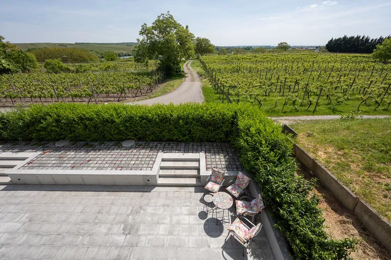 Ke Špičáku, Velké Bílovice - Břeclav | Predaj, Rodinný dom, 4-izbový, 561 m²