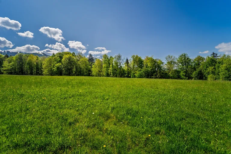 Malenovice - Frýdek-Místek | Predaj, Pozemok, 45 148 m²