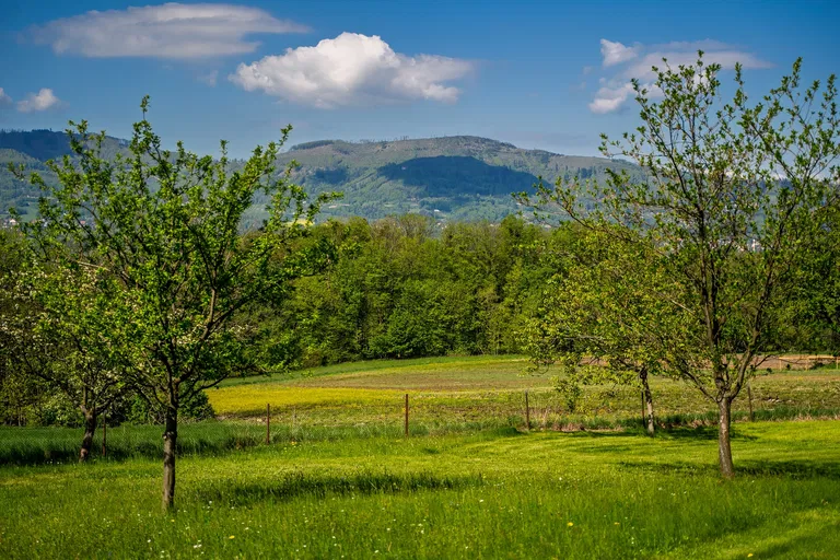 Malenovice - Frýdek-Místek | Predaj, Pozemok, 45 148 m²
