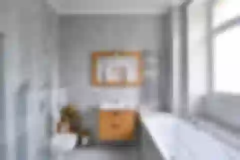 Wolkerova, Bubeneč - Praha 6 | Predaj, Rodinný dom, 20-izbový, 450 m²