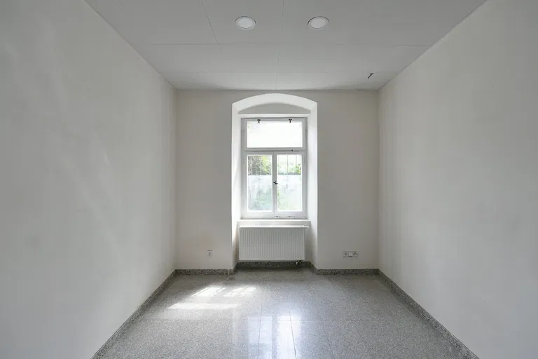 Wolkerova, Bubeneč - Prague 6 | Sale, House, Nineteen-bedroom (20+kk), 450 m²