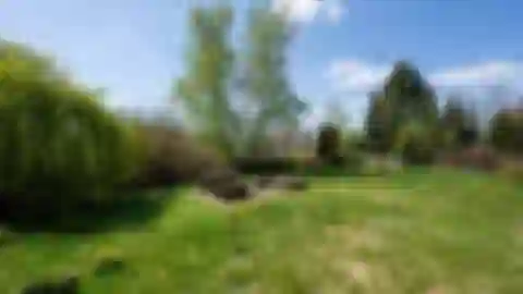 Dřevíkov, Vysočina - Chrudim | Predaj, Rodinný dom, 3-izbový, 100 m²
