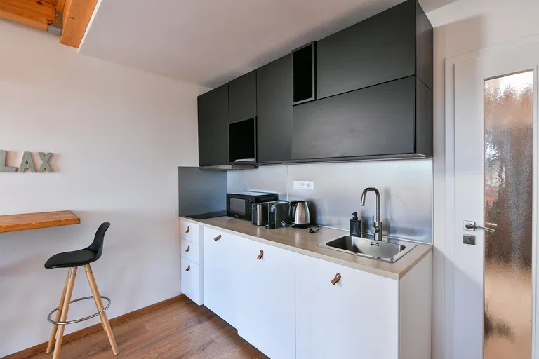 Lipno nad Vltavou - Český Krumlov | Sale, Apartment, One-bedroom (2+kk), 48 m²