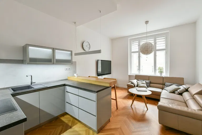 Ondříčkova, Žižkov - Prague 3 | Sale, Apartment, One-bedroom (2+kk), 58 m²
