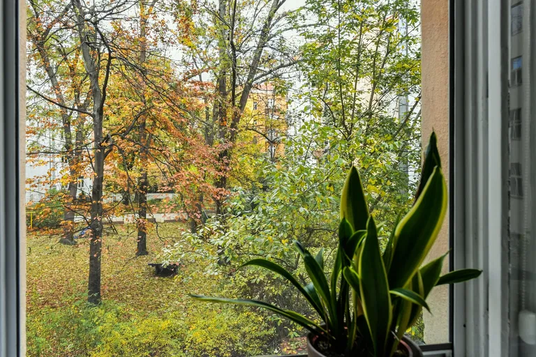 Ondříčkova, Žižkov - Prague 3 | Sale, Apartment, One-bedroom (2+kk), 58 m²