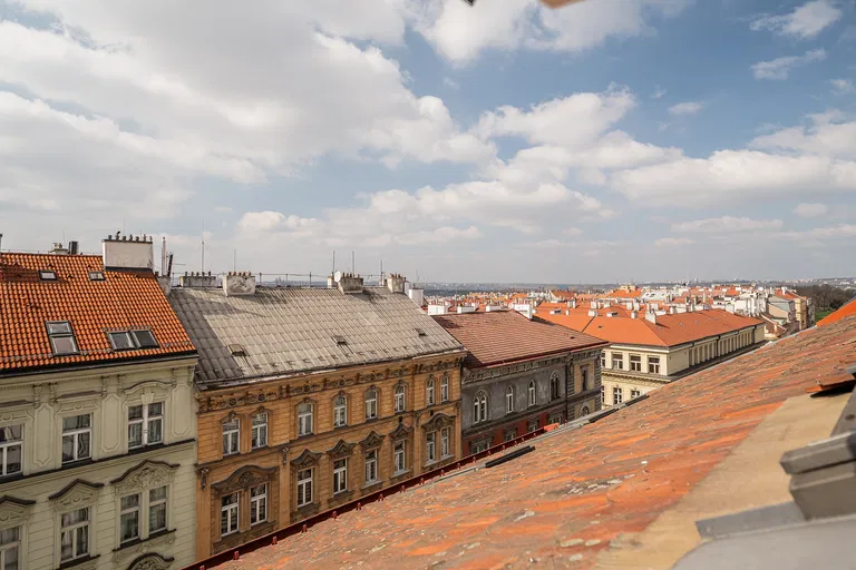 Šumavská, Vinohrady - Prague 2 | Sale, Apartment, Three-bedroom (4+1), 194 m²