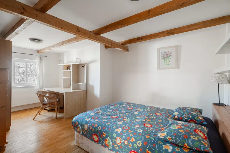 Šumavská, Vinohrady - Prague 2 | Sale, Apartment, Three-bedroom (4+1), 194 m²
