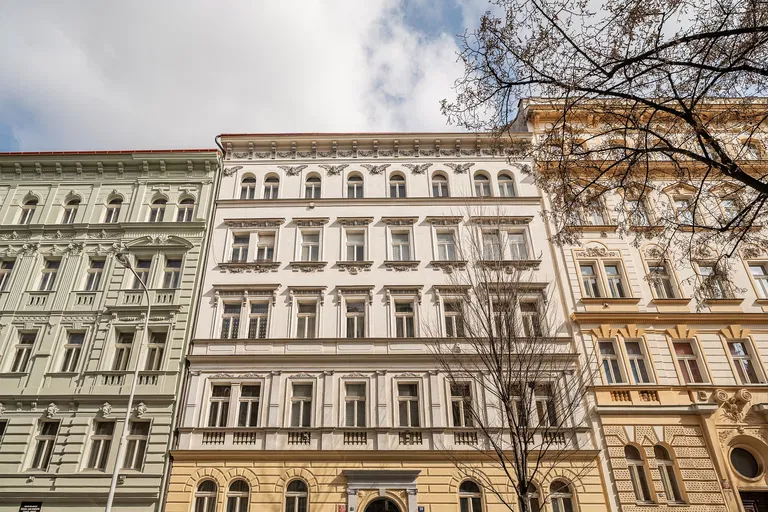Šumavská, Vinohrady - Prague 2 | Sale, Apartment, Three-bedroom (4+1), 194 m²